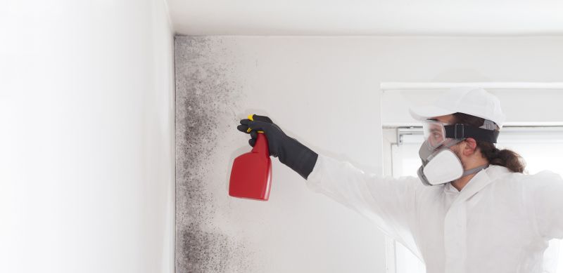 Attic Mold Remediation in West Palm Beach, FL
