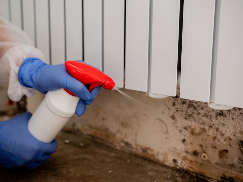 Attic Mold Removal in Dallas, TX