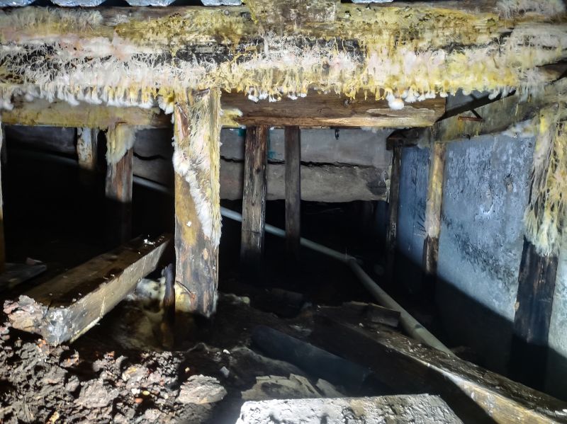 Basement Mold Remediation in Broward County, FL