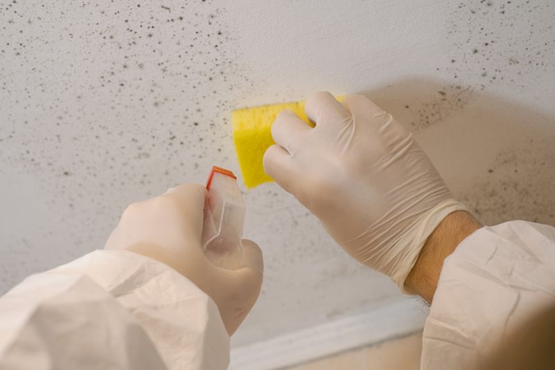 Mold Restoration in West Palm Beach, FL
