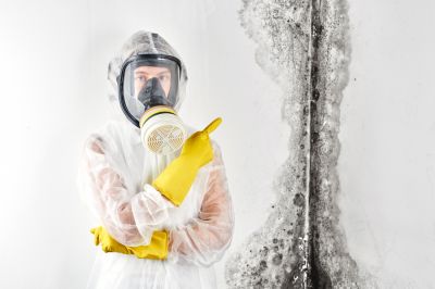 Black Mold Removal - Black Mold Removal Mckinney, Texas