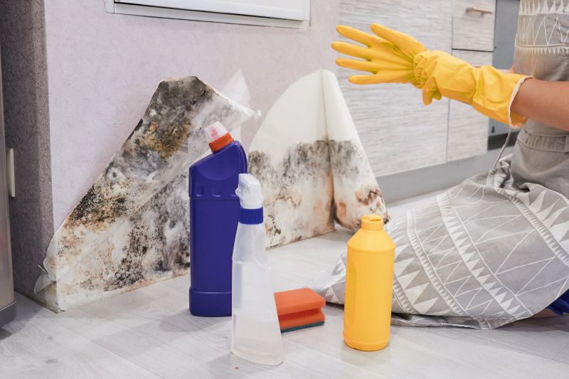 Black Mold Removal