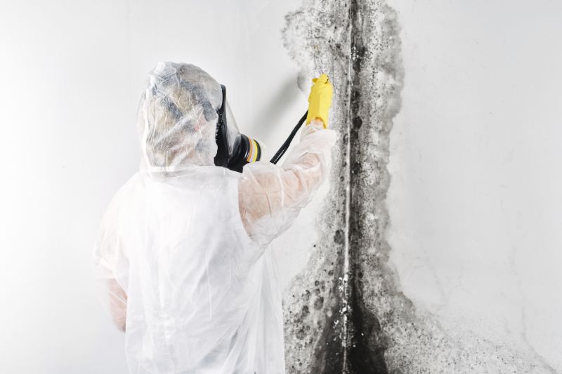 Black Mold Removal