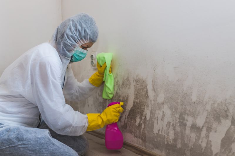 Black Mold Removal