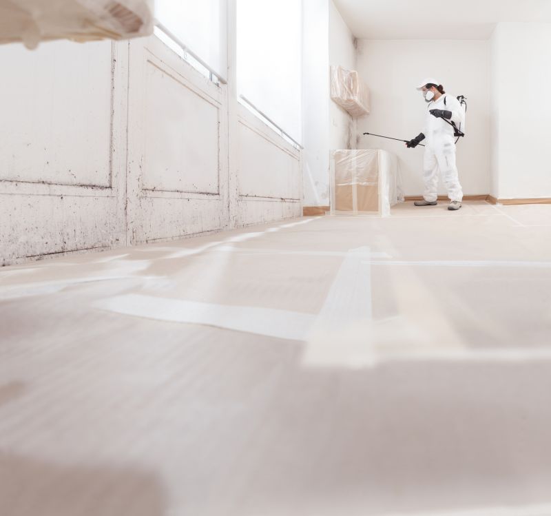 Air Duct Mold Removal in Fort Worth, TX