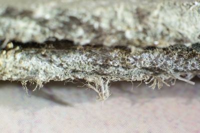 Asbestos Abatement in Sussex County, NJ