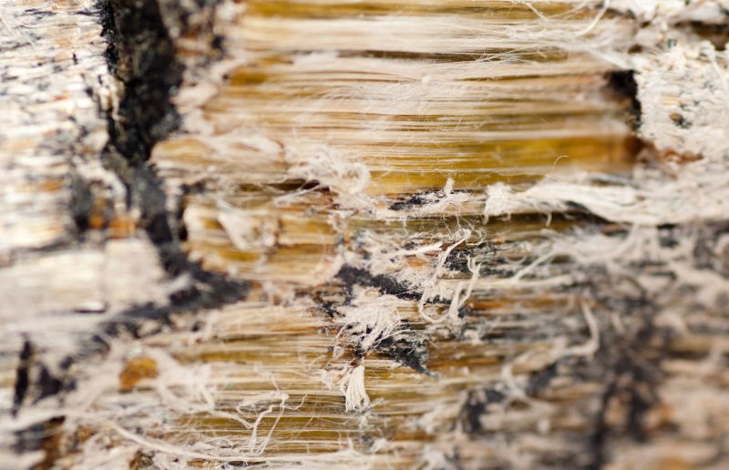 Asbestos Mitigation in Bergen County, NJ