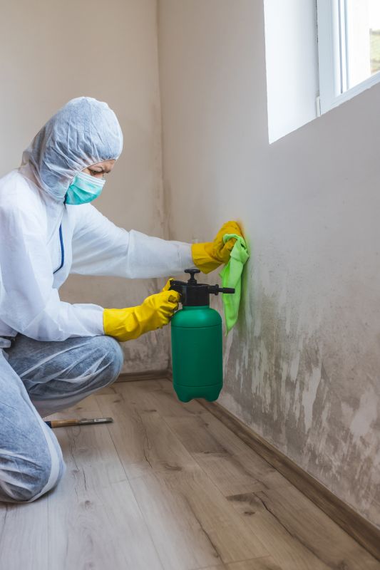 Attic Mold Remediation in Broward County, FL