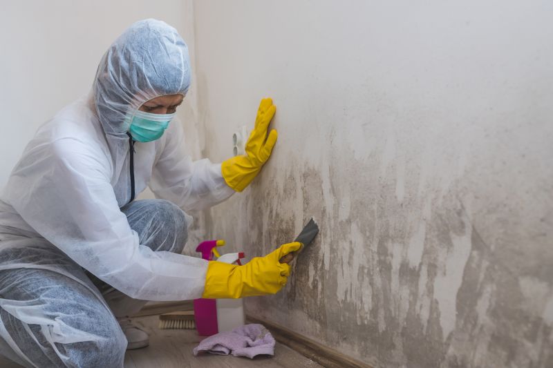 Basement Mold Remediation in Dallas, TX