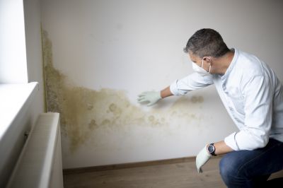 Basement Mold Remediation in Frisco, TX