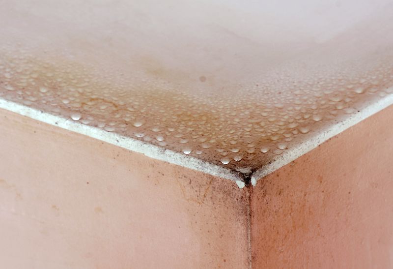 Basement Mold Removal in Frisco, TX