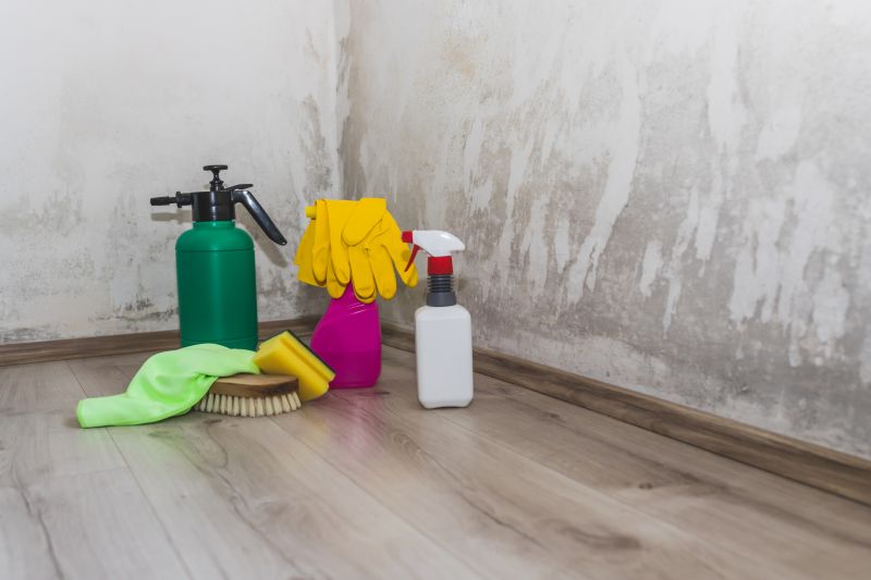 Basement Mold Removal in West Palm Beach, FL
