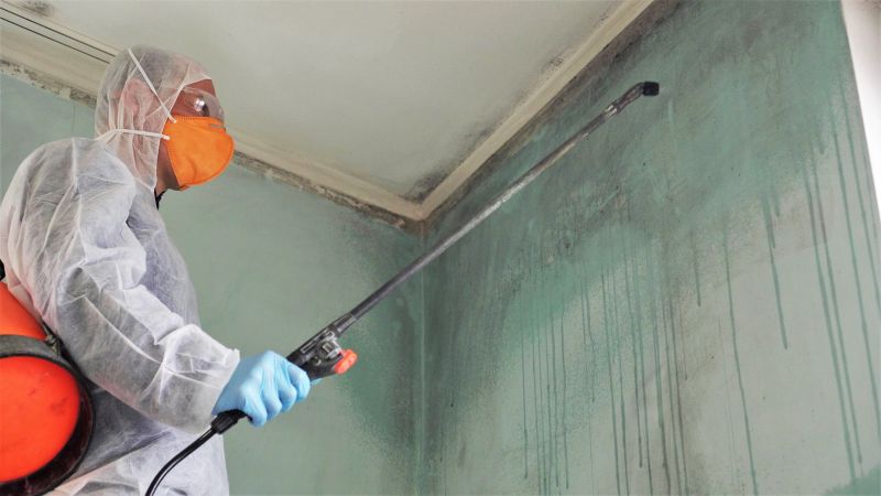 Black Mold Remediation in Fort Lauderdale, FL