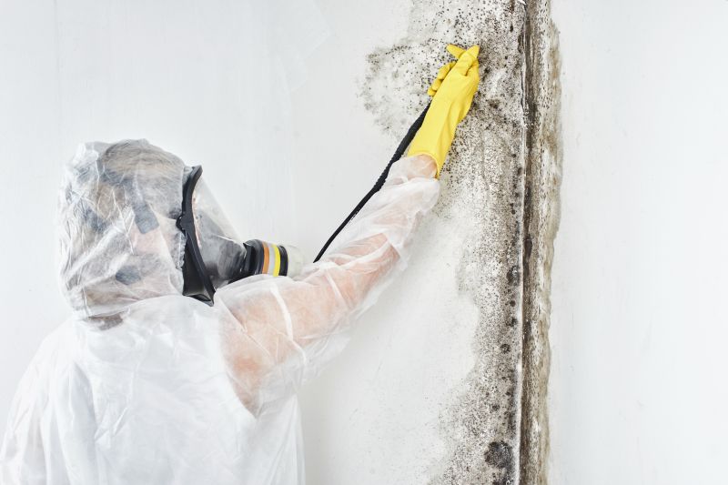 Black Mold Removal