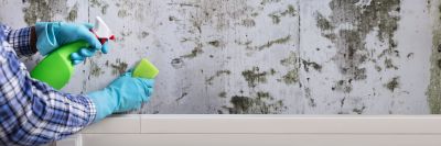 Black Mold Removal