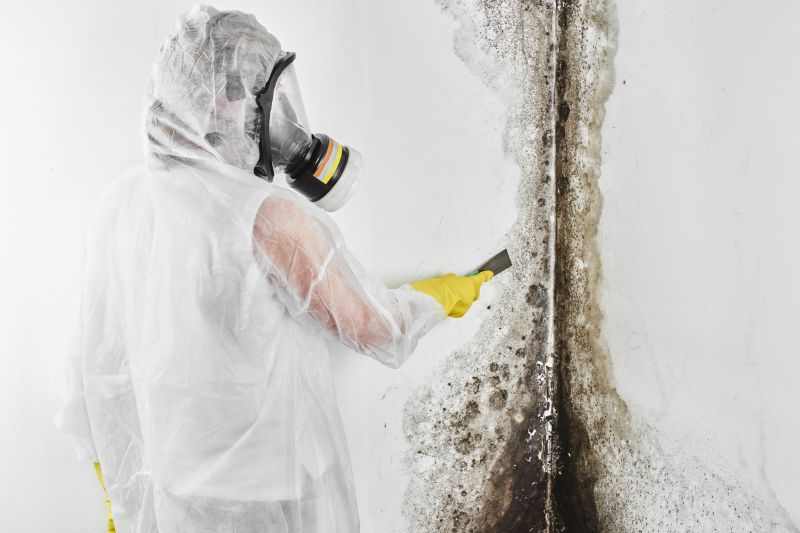 Black Mold Removal