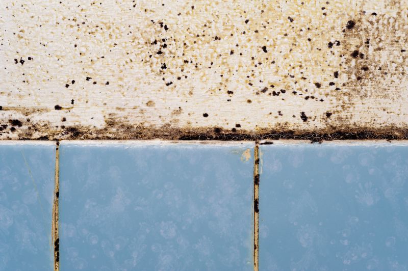 Bathroom Mold Solutions