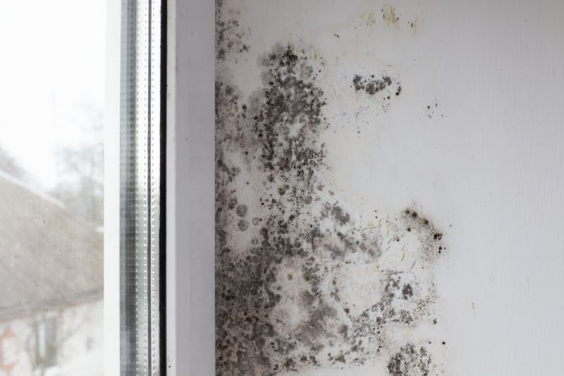 Extent of Mold Contamination