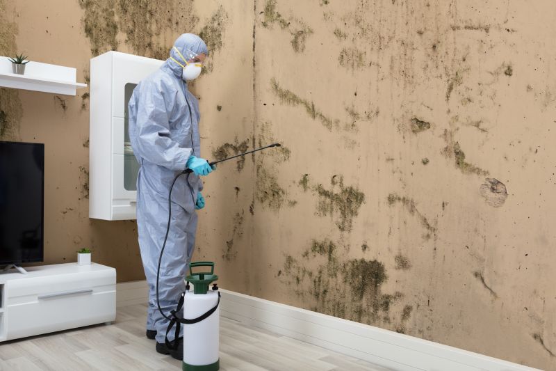 Mold Abatement in Mckinney, TX