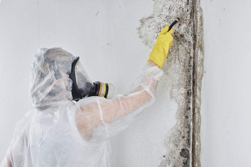 Mold Abatement in Dallas, TX