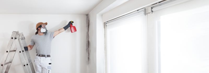 Mold Mitigation Service in Essex County, NJ