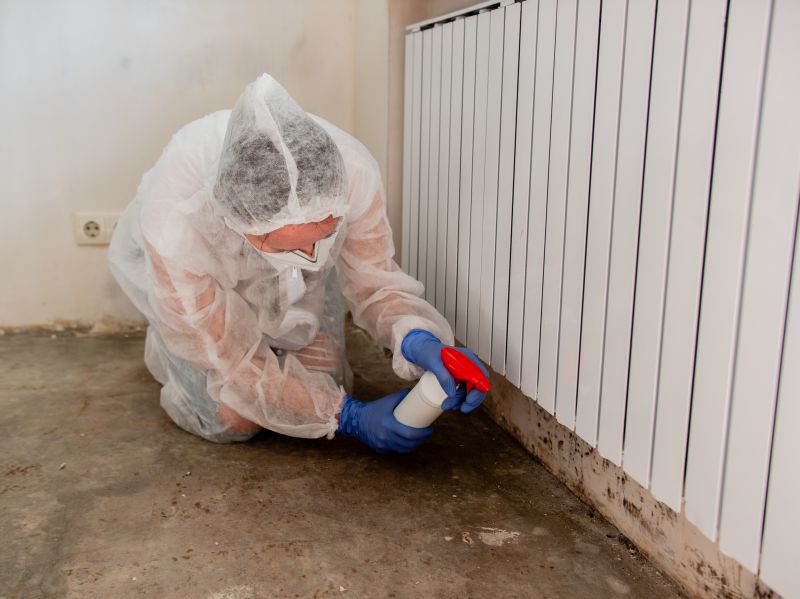 Mold Remediation Service in Broward County, FL