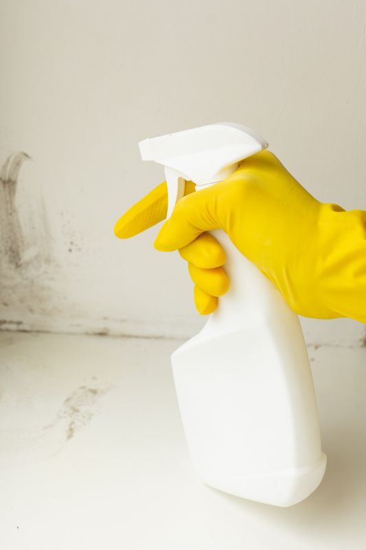 Products For Black Mold Removals in use