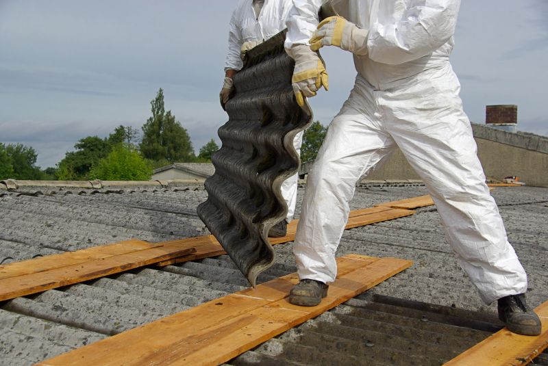 Vermiculite Remediation in Freehold, NJ